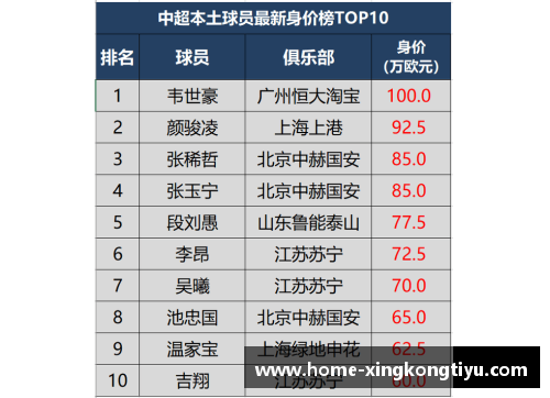 探究足球球员身价计算方法的新视角